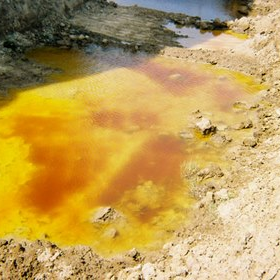 Environmental Remediation Services for Chemical Cleanup